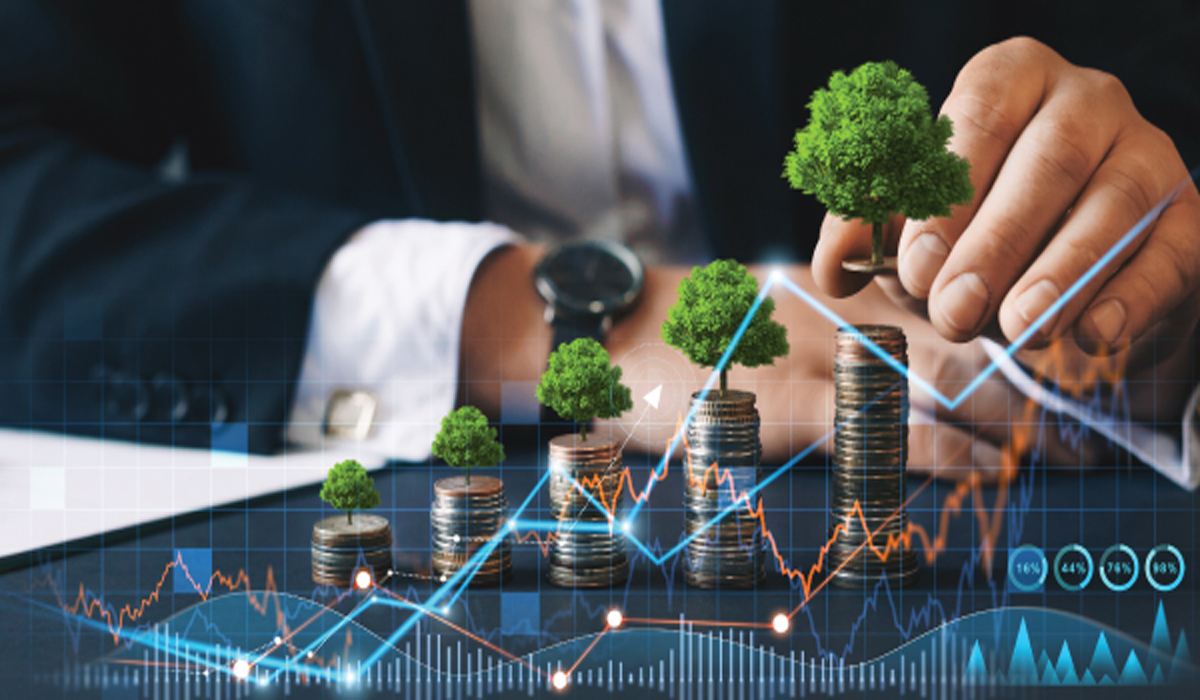 Secrets to Successful Investing: From Beginner to Pro