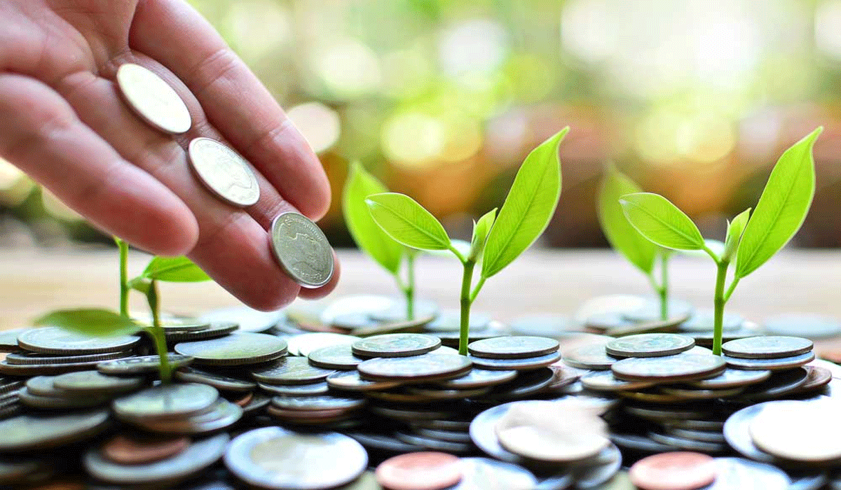 From Zero to Investor: Investment Ideas for Beginners