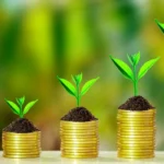 Bank Deposit Investment, A Safe Choice for Beginner Investors