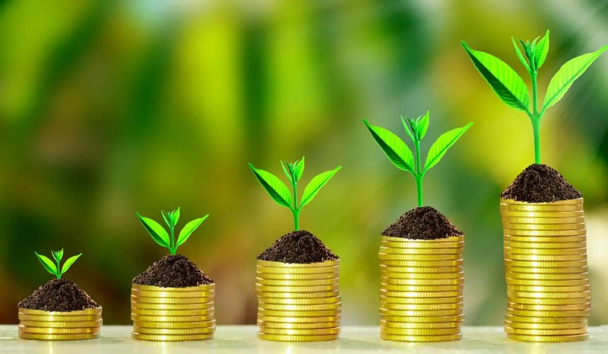 Bank Deposit Investment, A Safe Choice for Beginner Investors