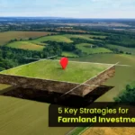 Smart Farmland Investment Strategies for Long-Term Profits