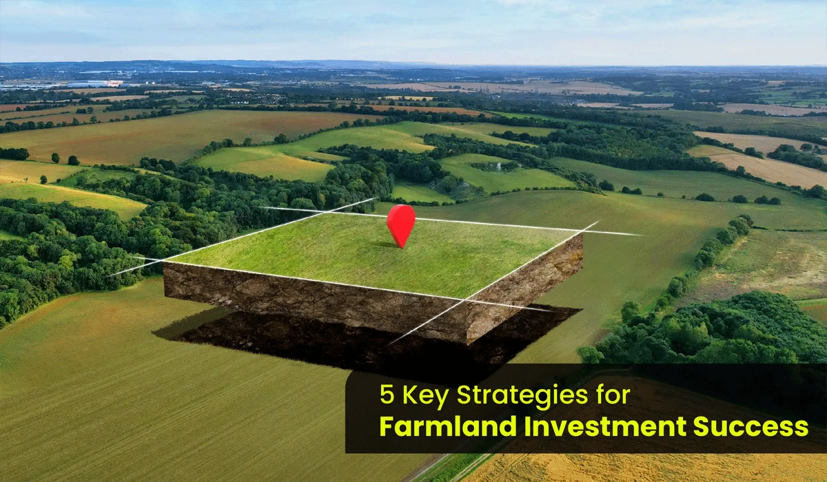 Smart Farmland Investment Strategies for Long-Term Profits